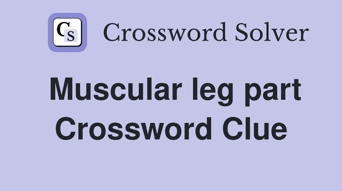 Muscular leg part Crossword Clue Answers Crossword Solver